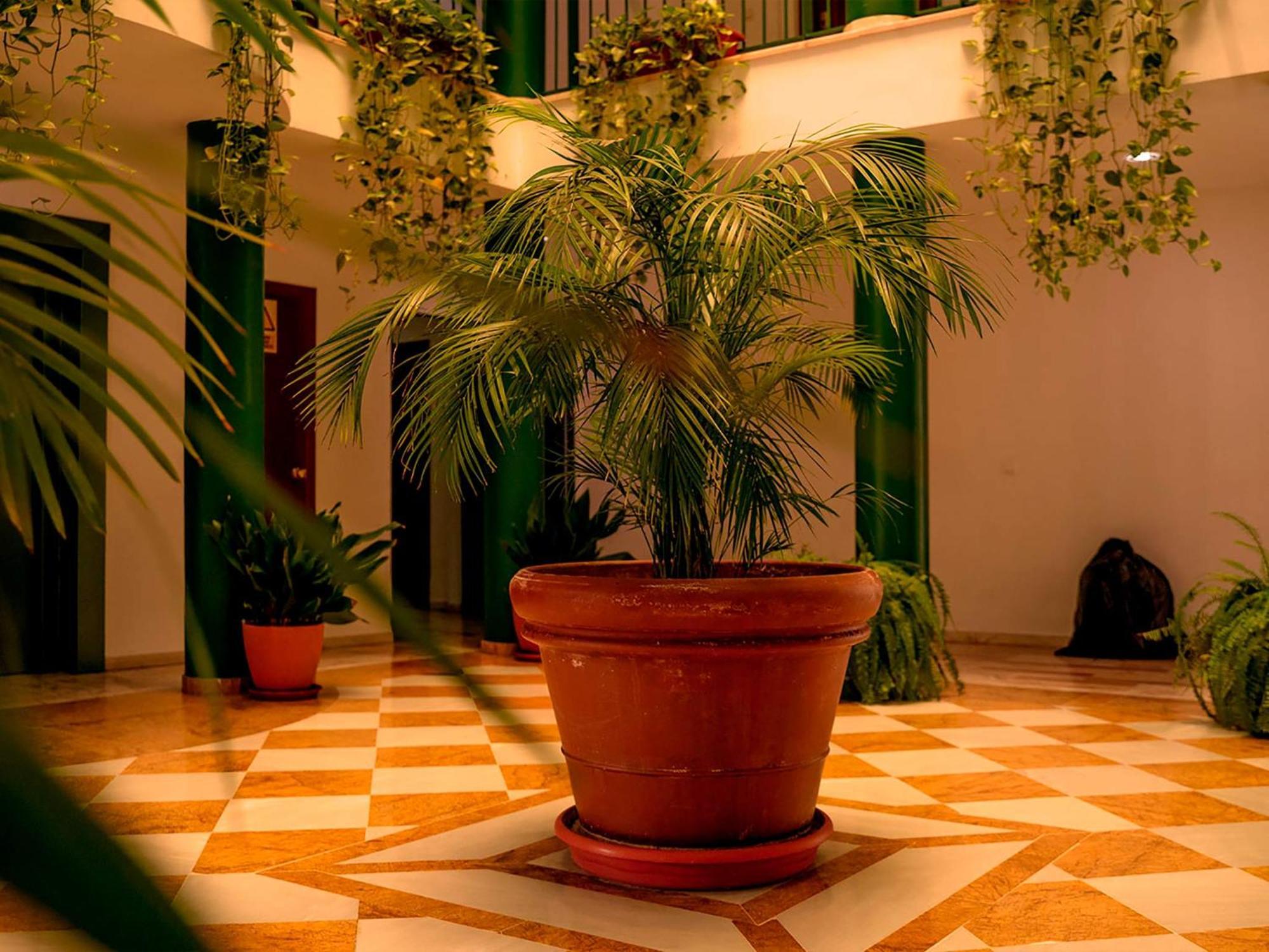 Apartamentos Vertice Bib Rambla Sevilla Kültér fotó